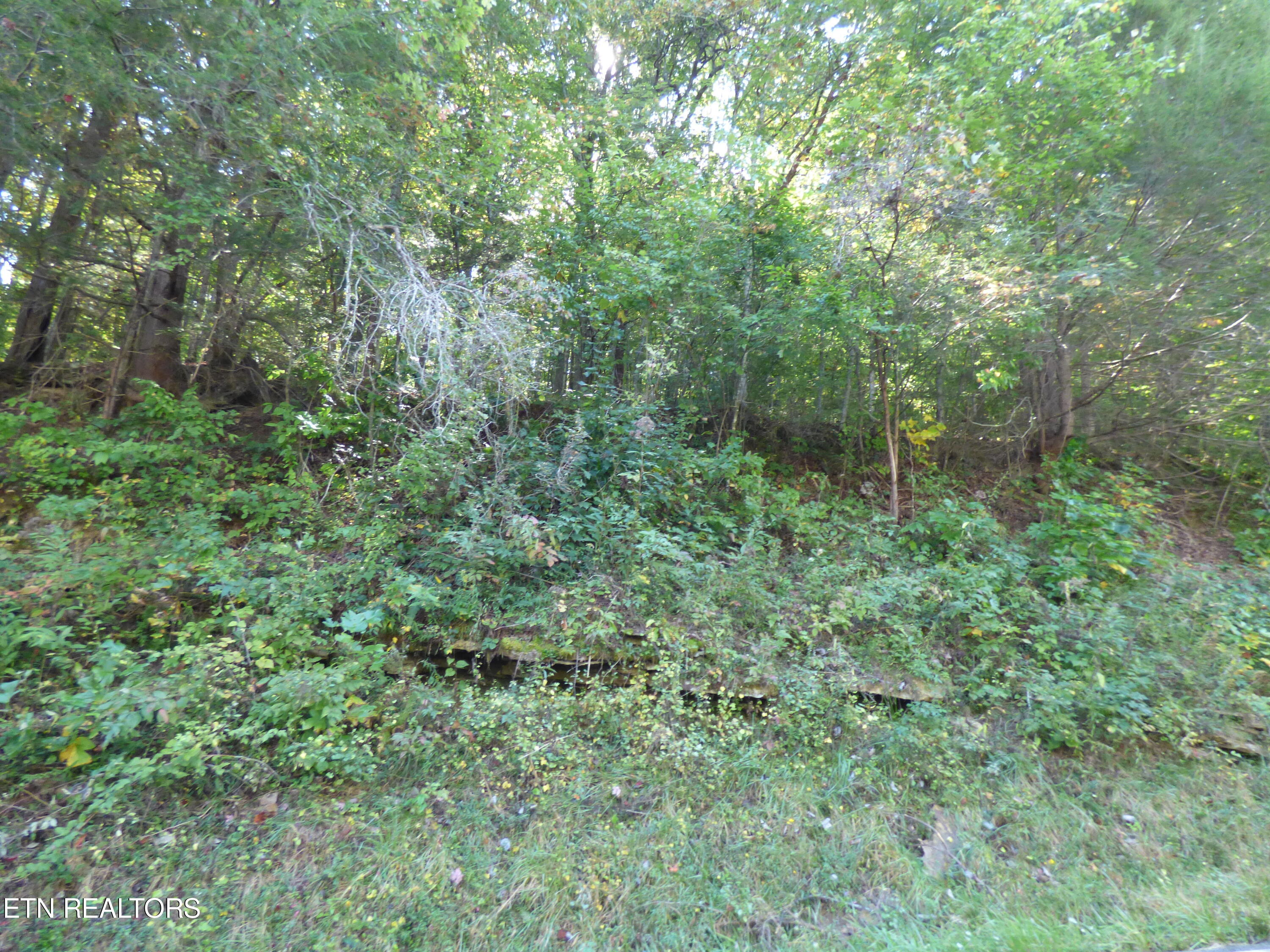 Prentice Street Crossville, TN 38555 - Photo 5 of 5 P1070354