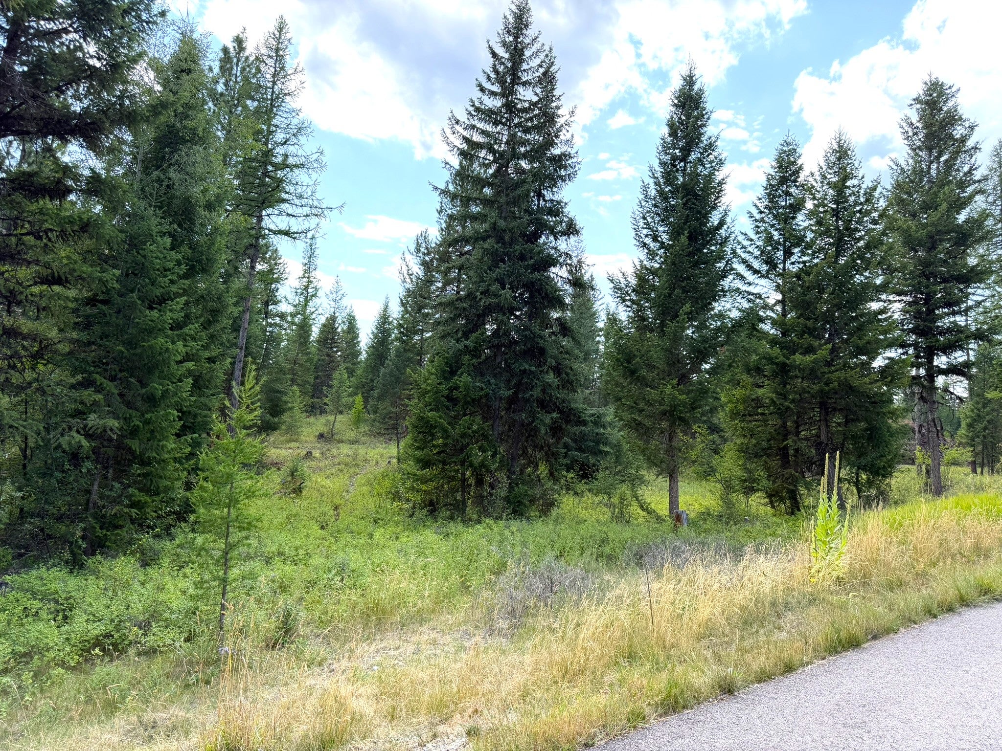 422 Haskill Rnch Road, Unit LOT30 Kila, MT 59920 - Photo 4 of 11 Gallery Image 4