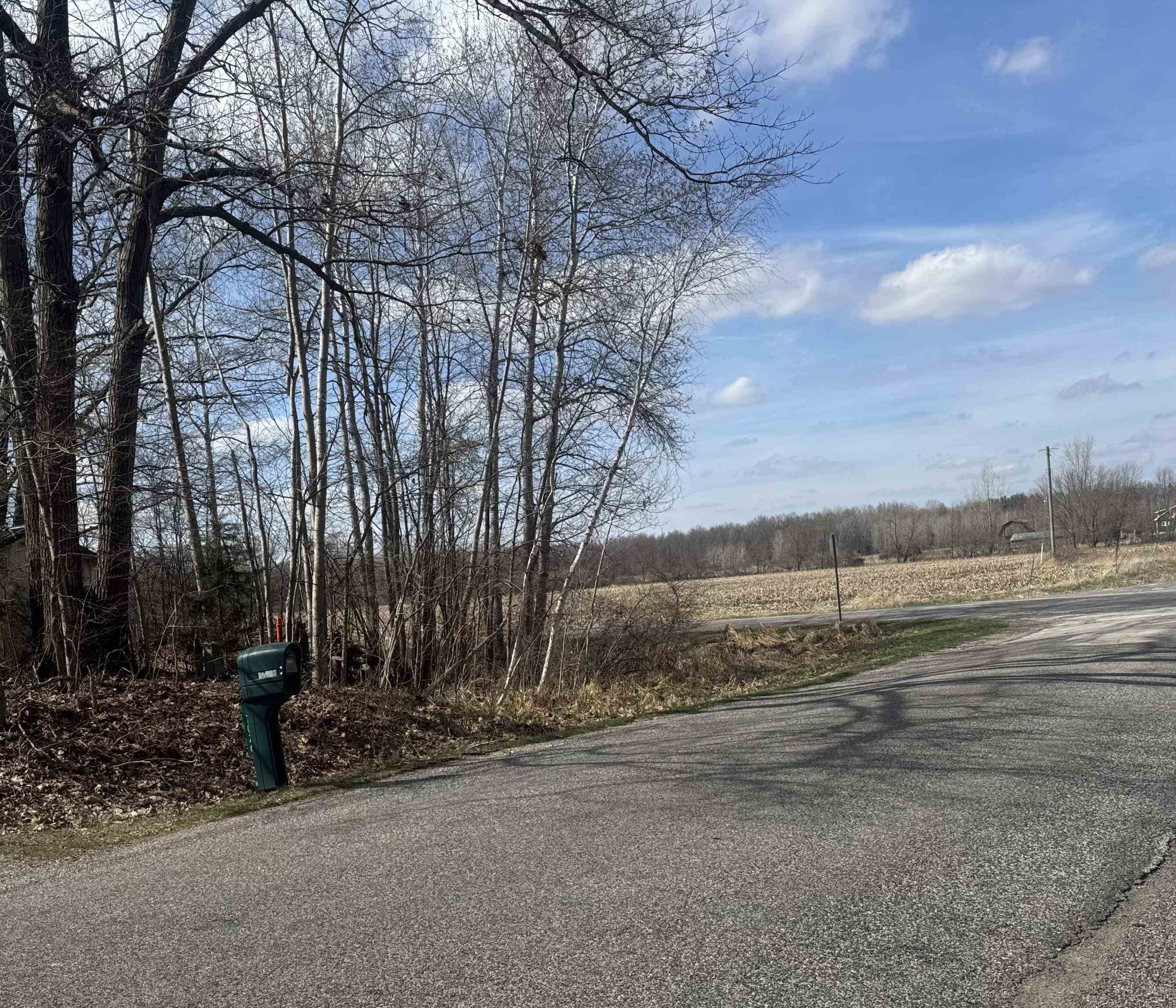17026 South Merrill Road Elsie, MI 48831 - Photo 13 of 91