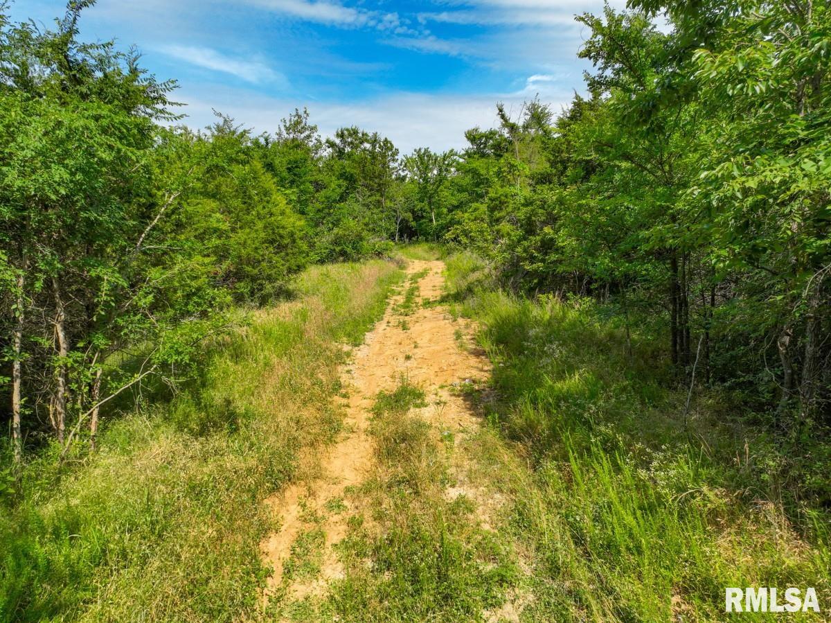 0 Tom Dick Hill Road Stonefort, IL 62987 - Photo 51 of 62