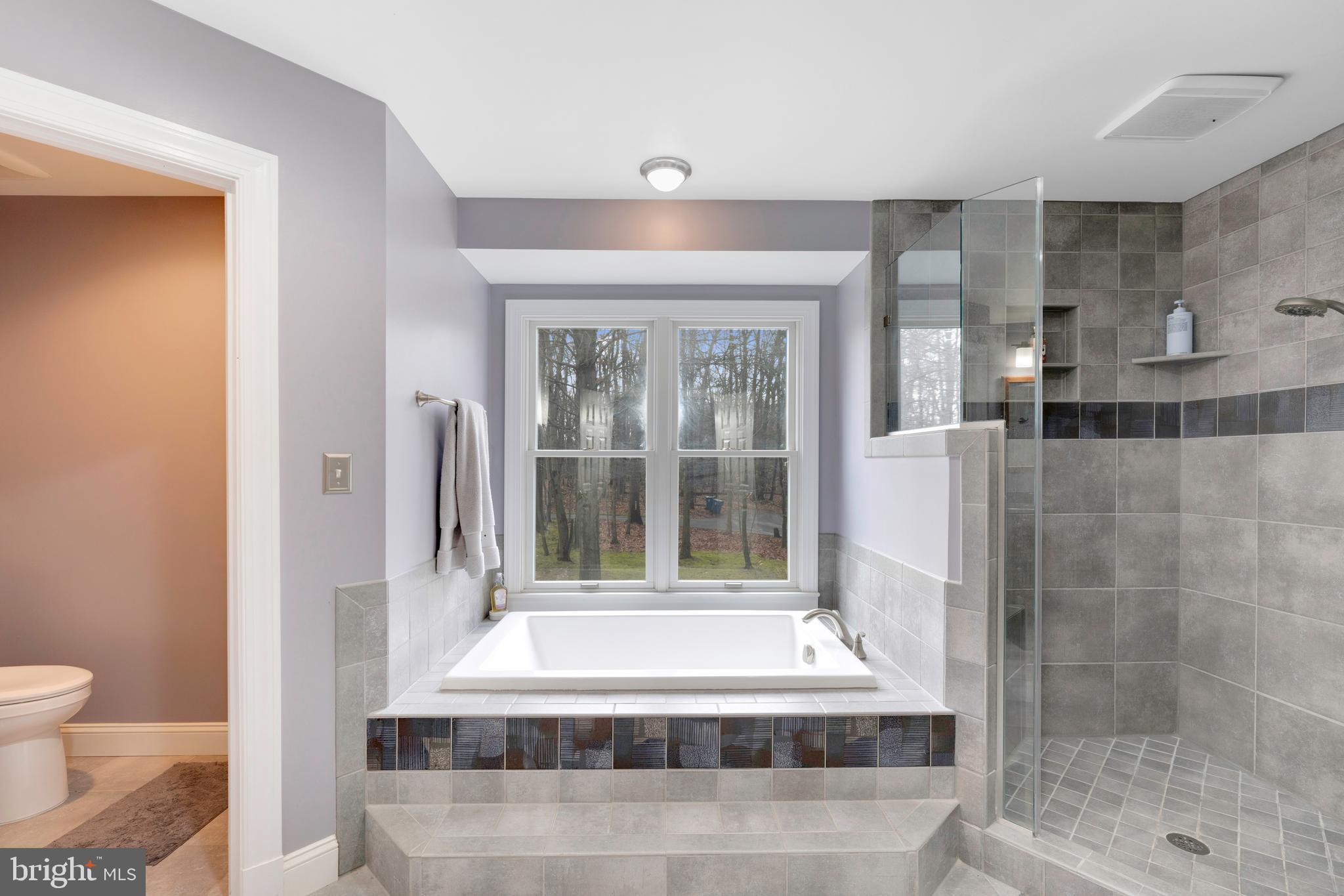 7336 Clifton Road Clifton, VA 20124 - Photo 34 of 74 Primary Bathroom
