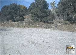 250 Harriet Road Frazier Park, CA 93225 - Photo 1 of 1