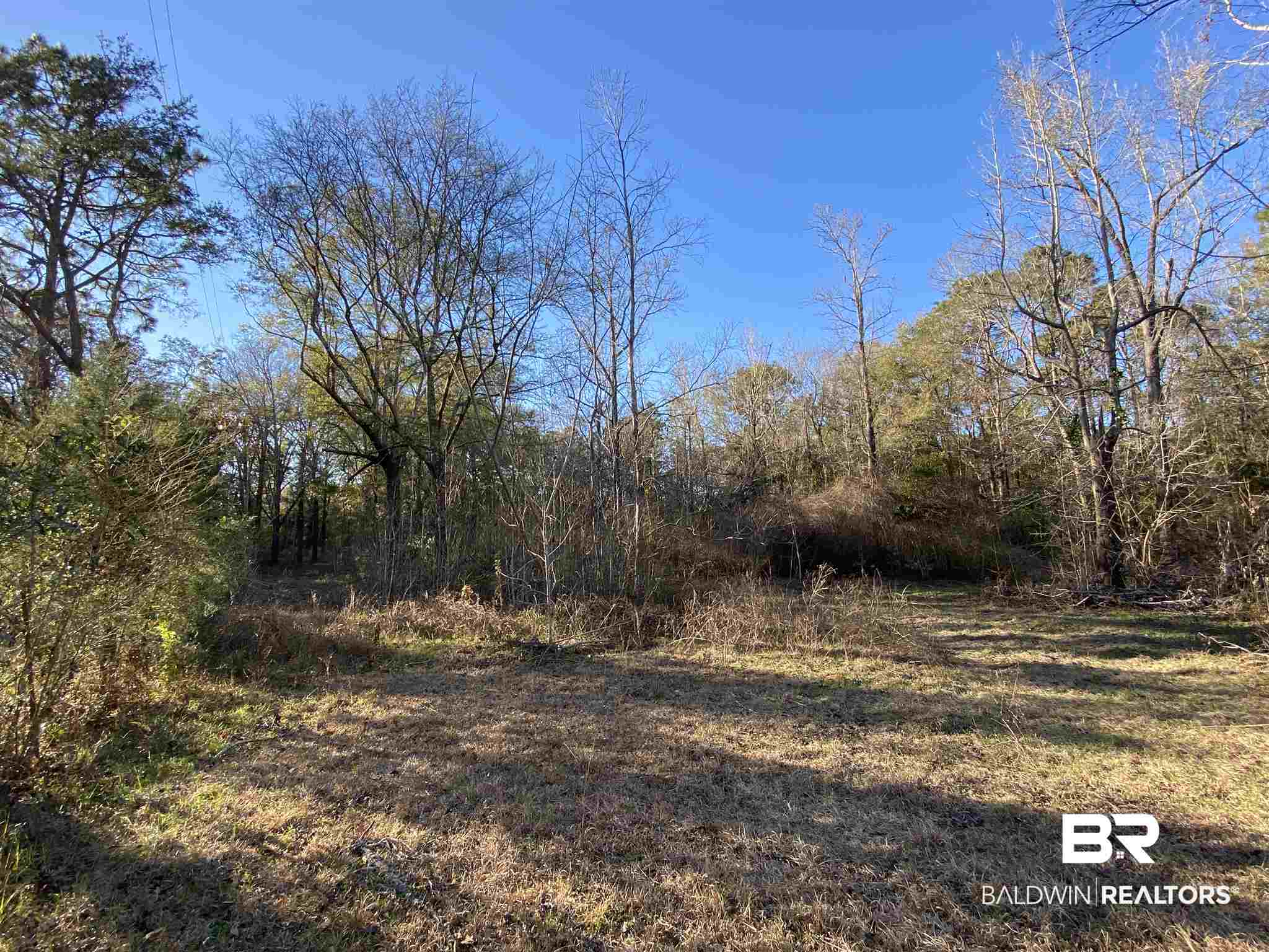 26849 Ernest Patterson Road Robertsdale, AL 36567 - Photo 37 of 41