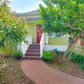 a view of a yard with plants and a large tree