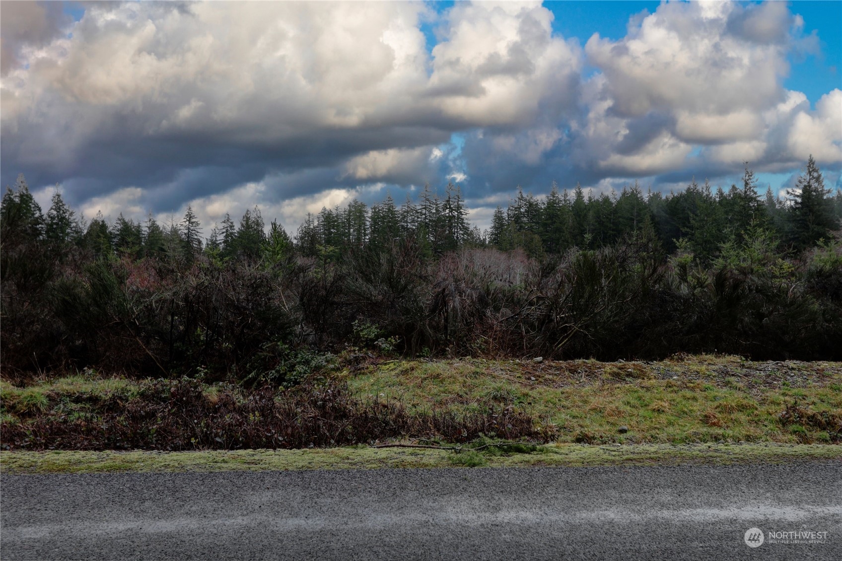 0 West Fish Hatchery Road Elma, WA 98541 - Photo 1 of 4 Gallery Image 1