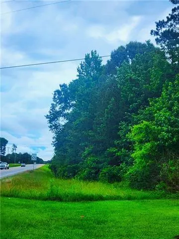 $99,900 | 0 East Highway 28 Highway East, Pineville, LA 71360