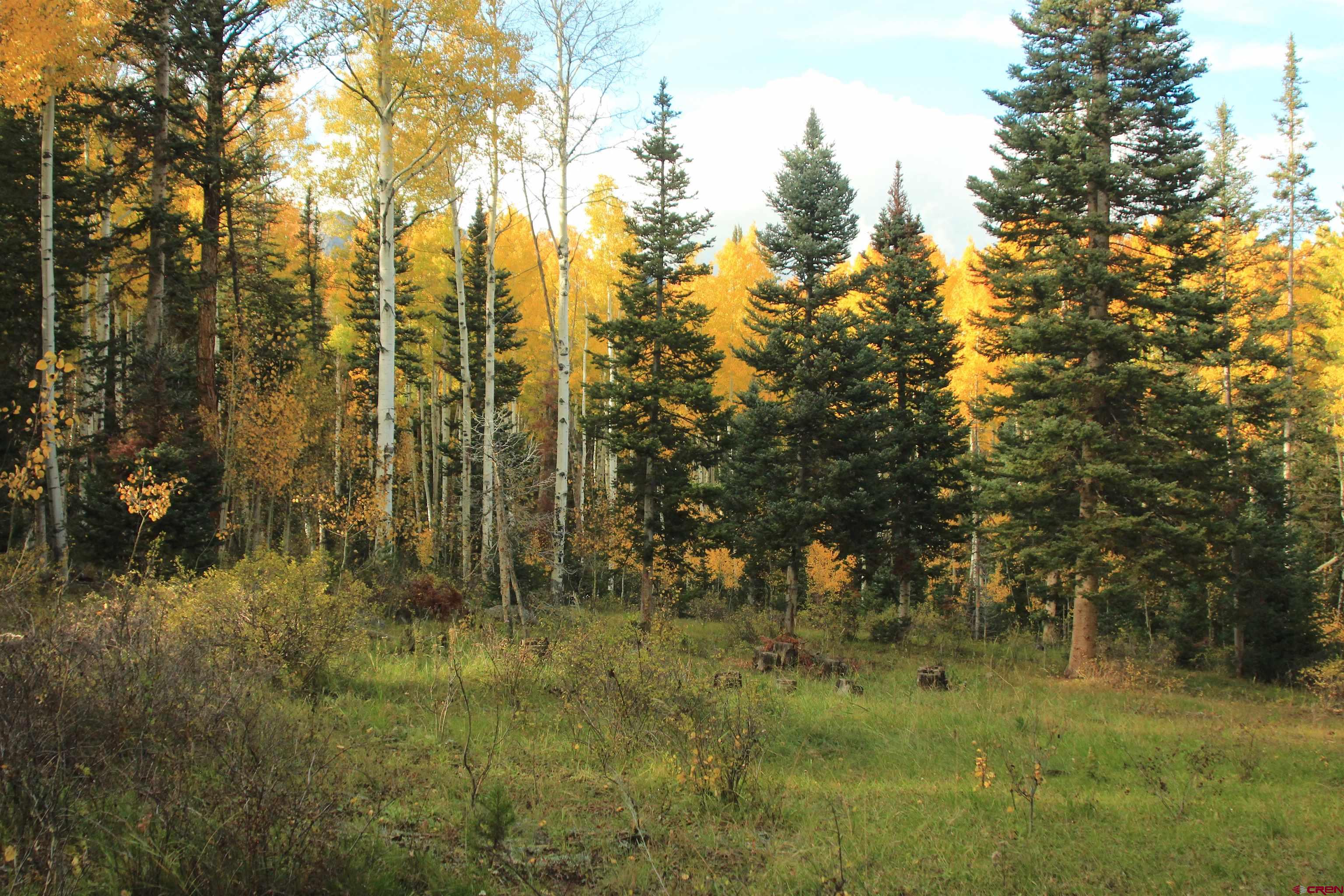 1237 Sioux Road Gunnison, CO 81230 - Photo 15 of 33 Gallery Image 15