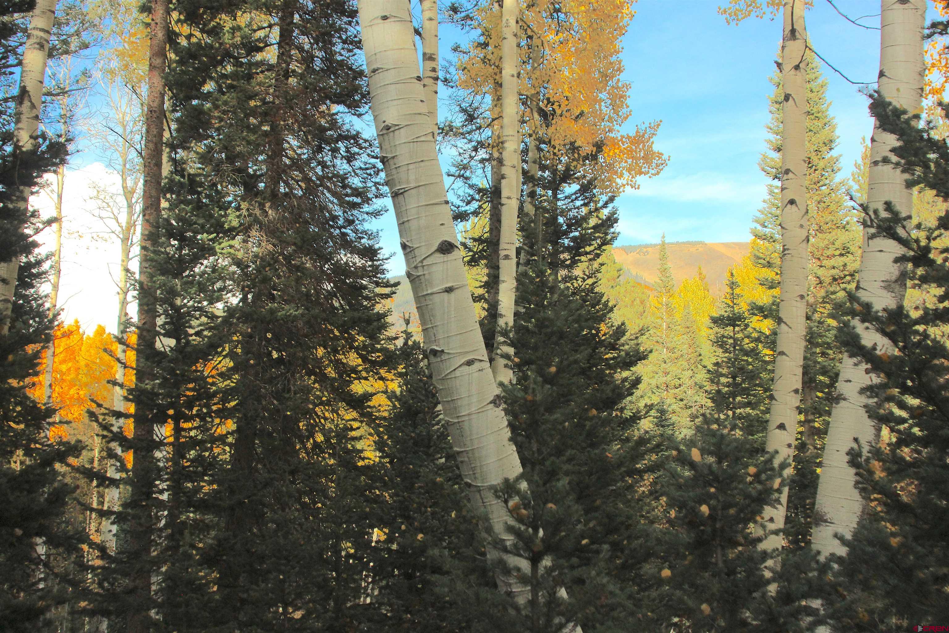 1237 Sioux Road Gunnison, CO 81230 - Photo 16 of 33 Gallery Image 16