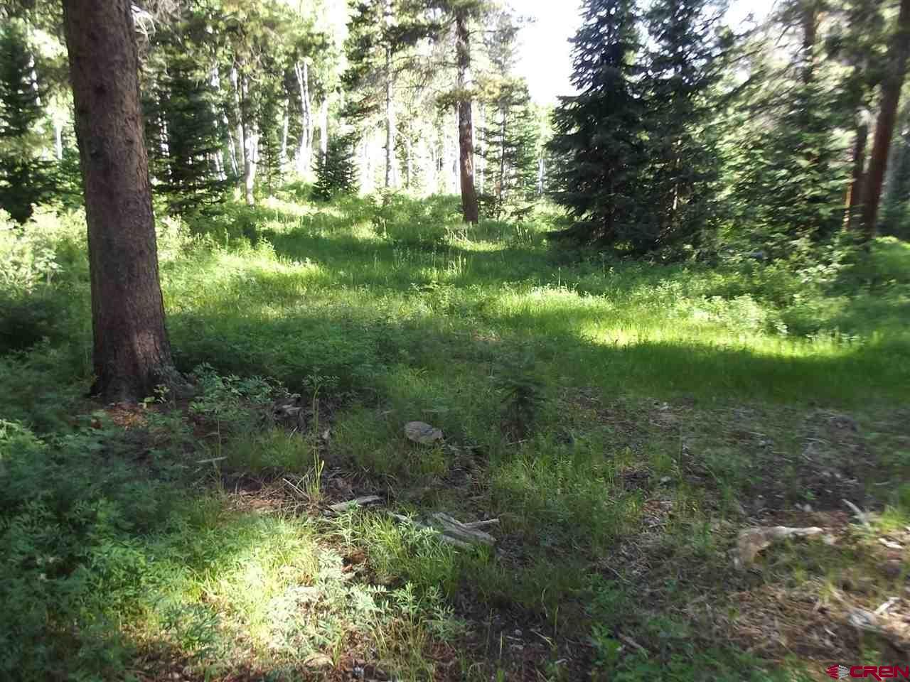 1237 Sioux Road Gunnison, CO 81230 - Photo 17 of 33 Gallery Image 17