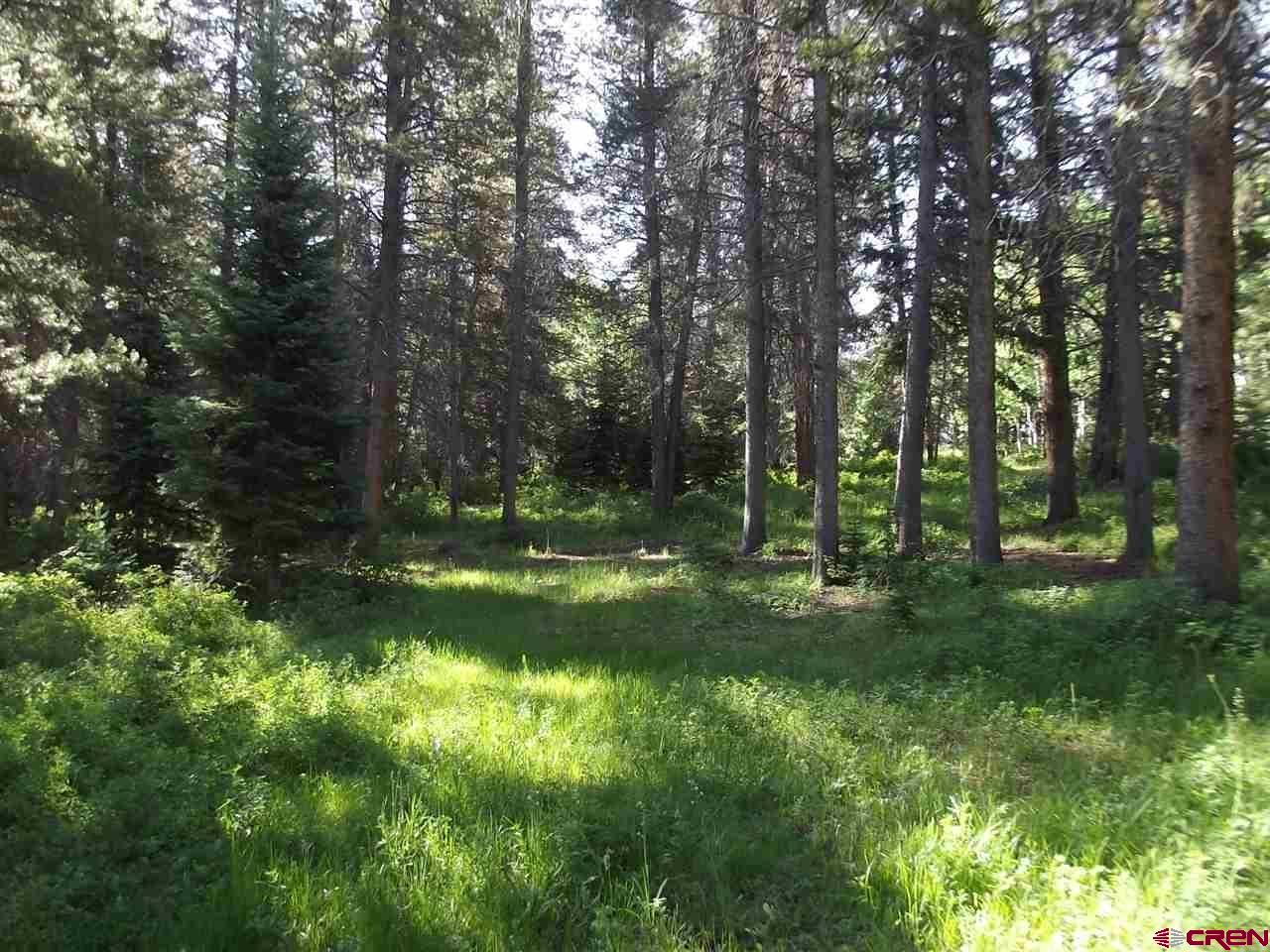 1237 Sioux Road Gunnison, CO 81230 - Photo 2 of 33 Gallery Image 2
