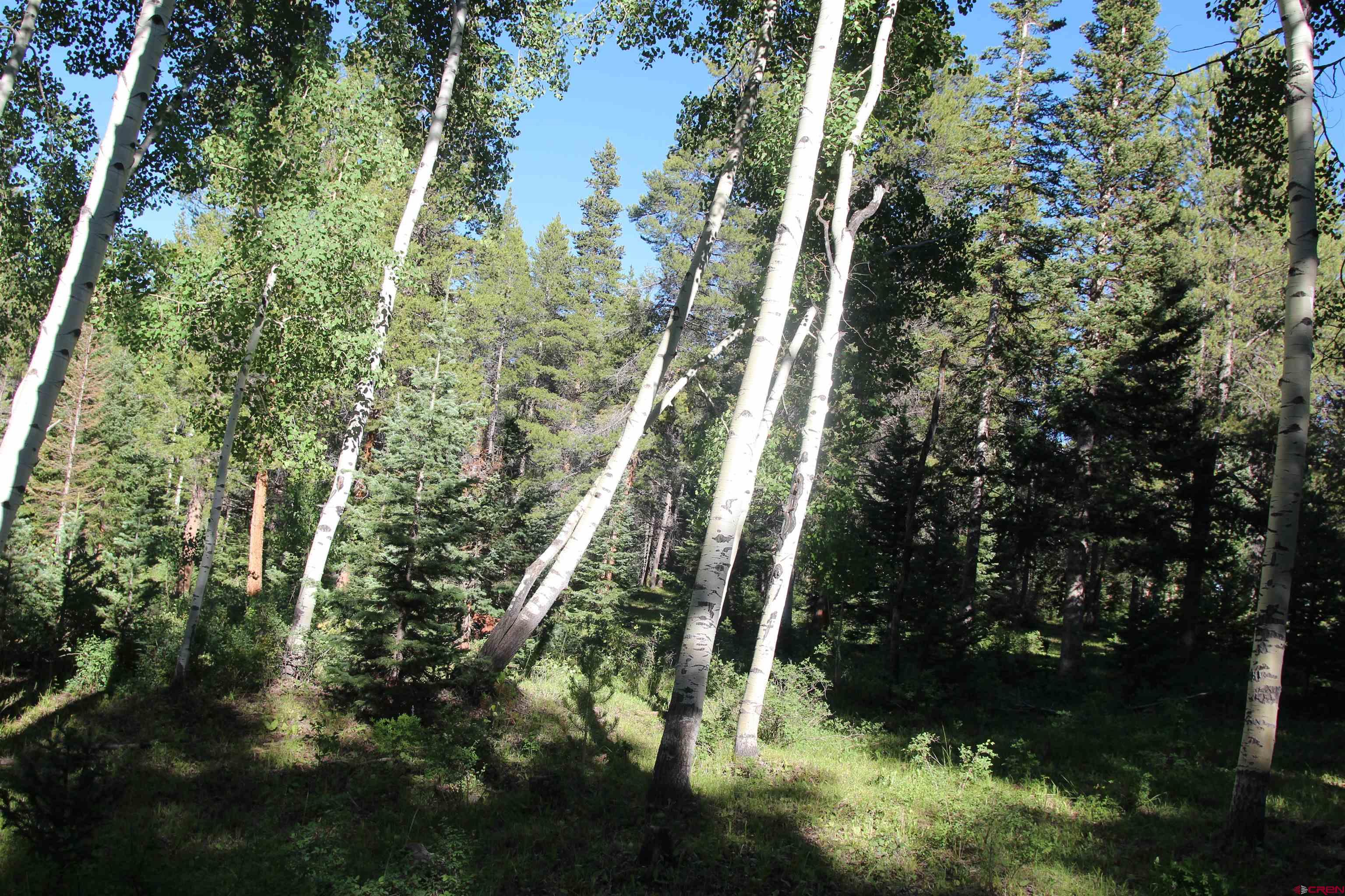 1237 Sioux Road Gunnison, CO 81230 - Photo 24 of 33 Gallery Image 24