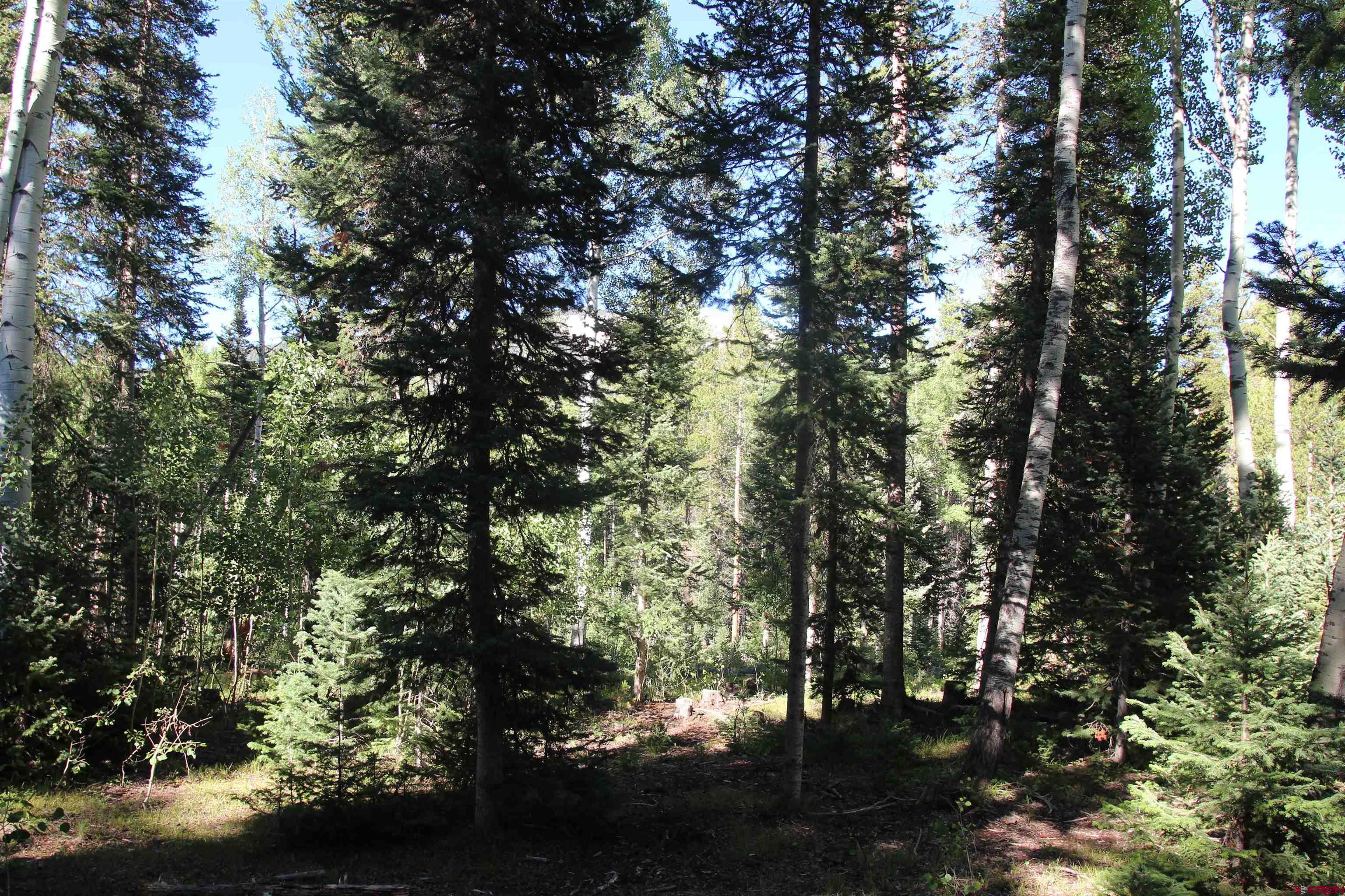 1237 Sioux Road Gunnison, CO 81230 - Photo 25 of 33 Gallery Image 25