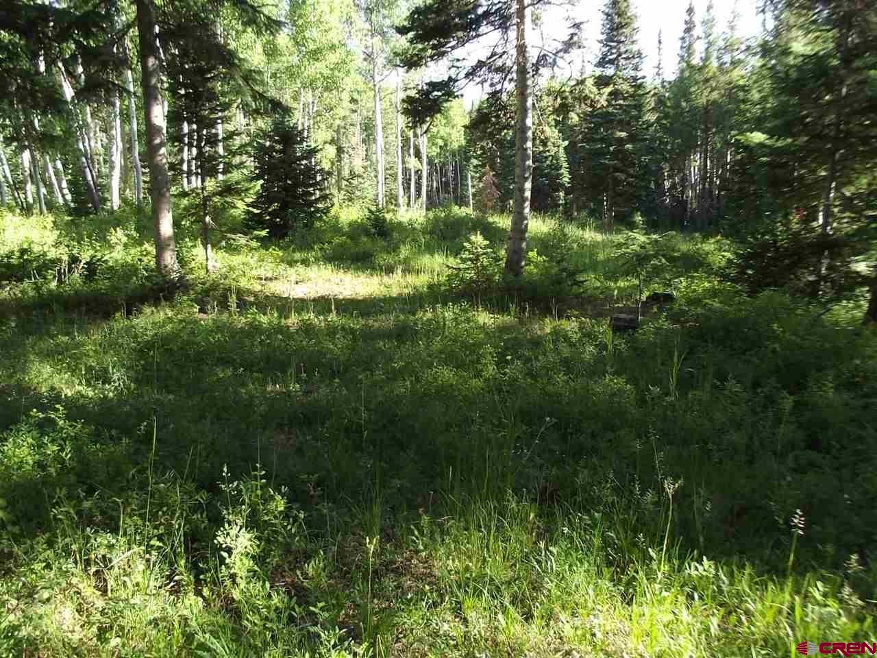 1237 Sioux Road Gunnison, CO 81230 - Photo 3 of 33 Gallery Image 3