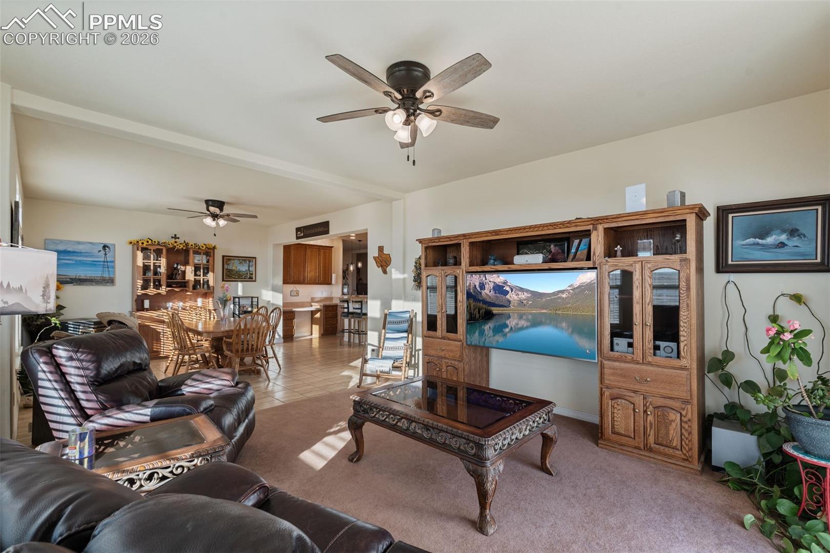 9785 North Rush Road Rush, CO 80833 - Photo 20 of 47 Gallery Image 20