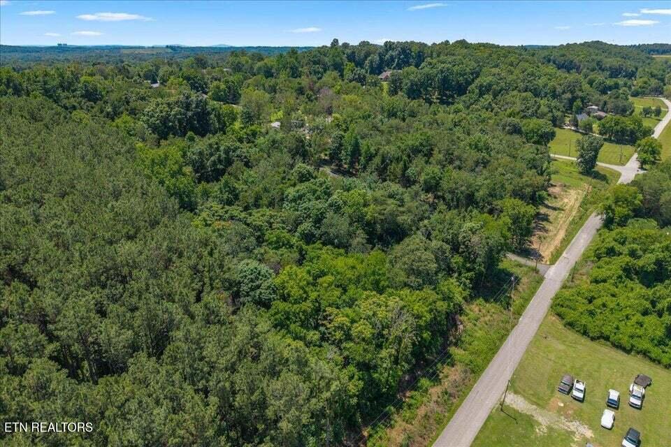 Lot 23-24 Hinch St Spring Spring City, TN 37381 - Photo 4 of 15 20260623164757338004000000-o