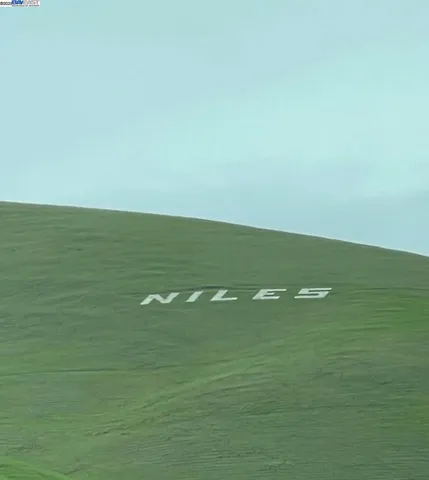 a front view of a building with a garden view