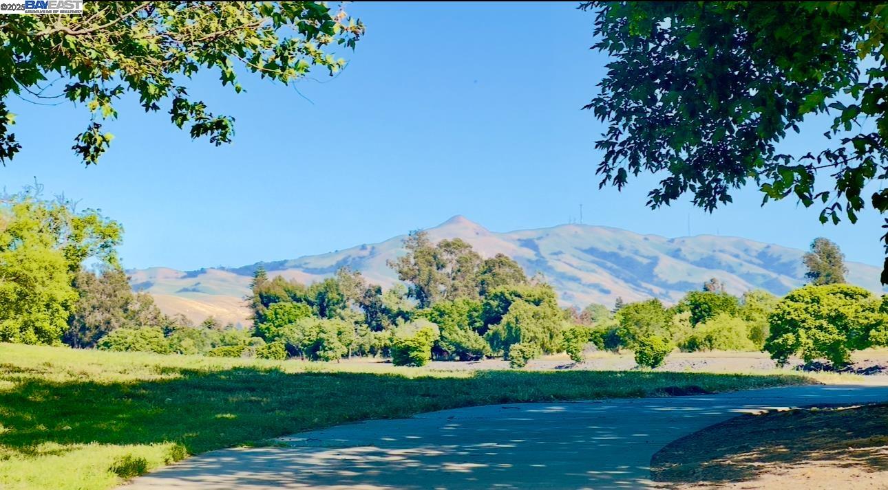 37230 2nd Street Fremont, CA 94536 - Photo 44 of 49 a view of a garden with a flower garden