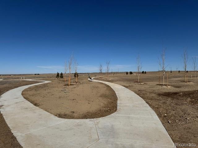 42998 Colonial Trail Elizabeth, CO 80107 - Photo 26 of 27 a view of a dry yard with wooden fence