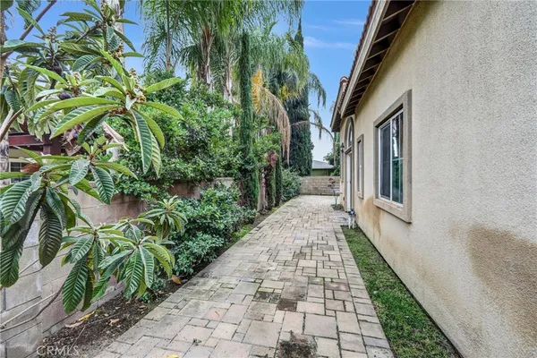 a view of a pathway with plants and large trees