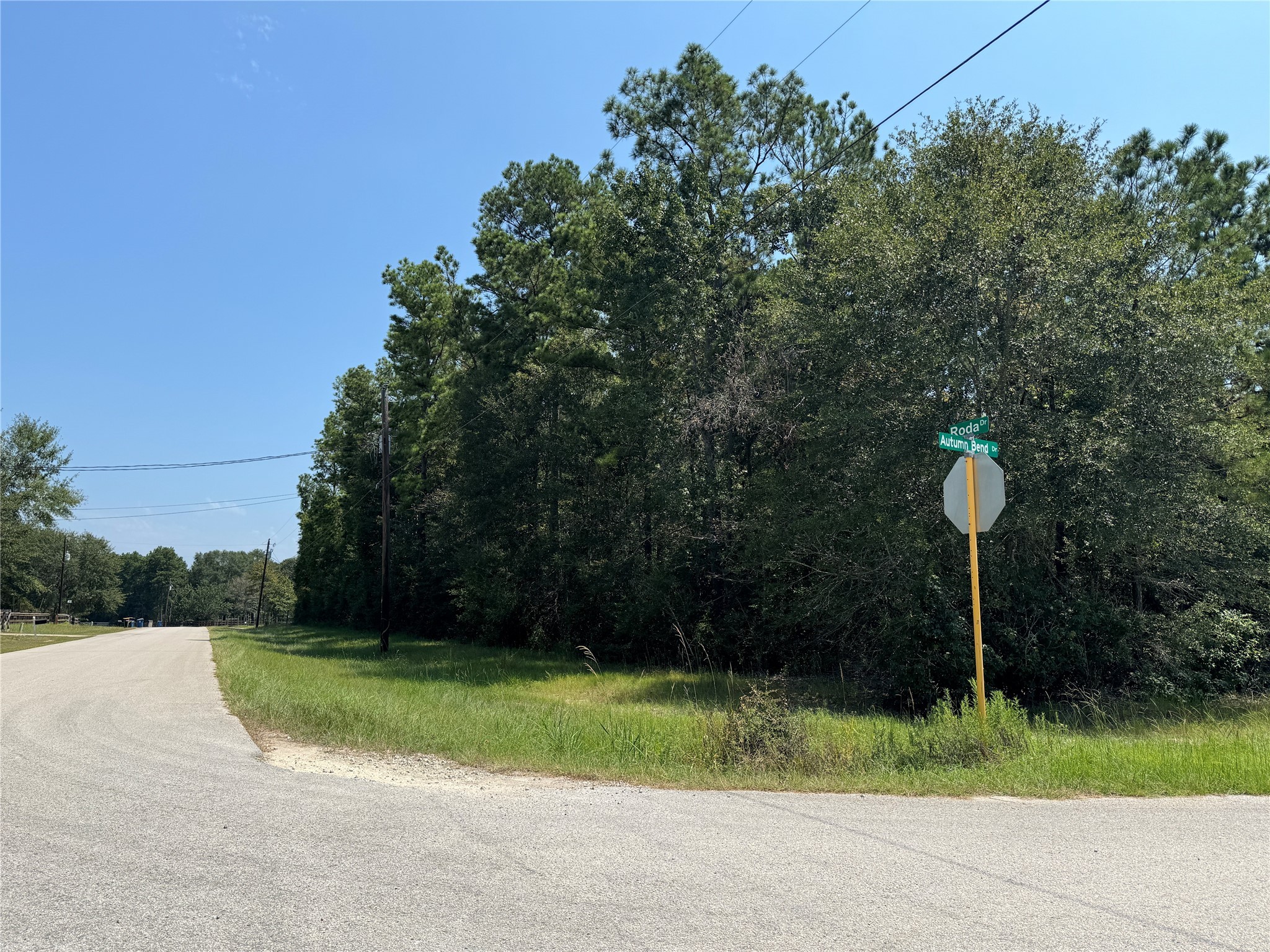 0 Roda Conroe, TX 77303 - Photo 3 of 11