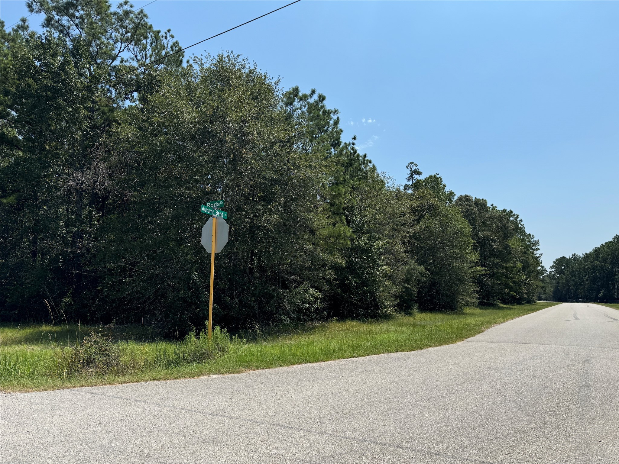 0 Roda Conroe, TX 77303 - Photo 4 of 11