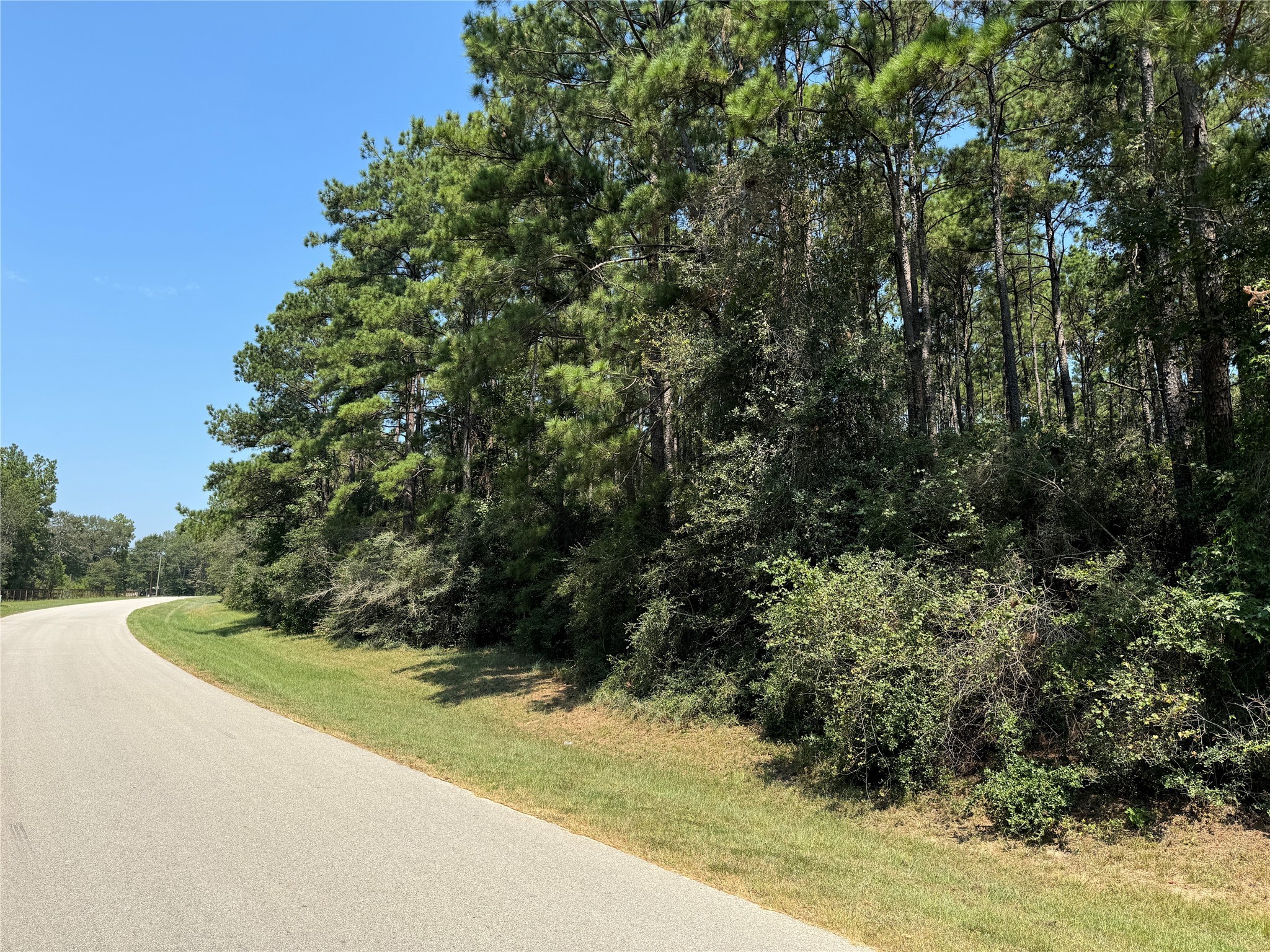 0 Roda Conroe, TX 77303 - Photo 6 of 11