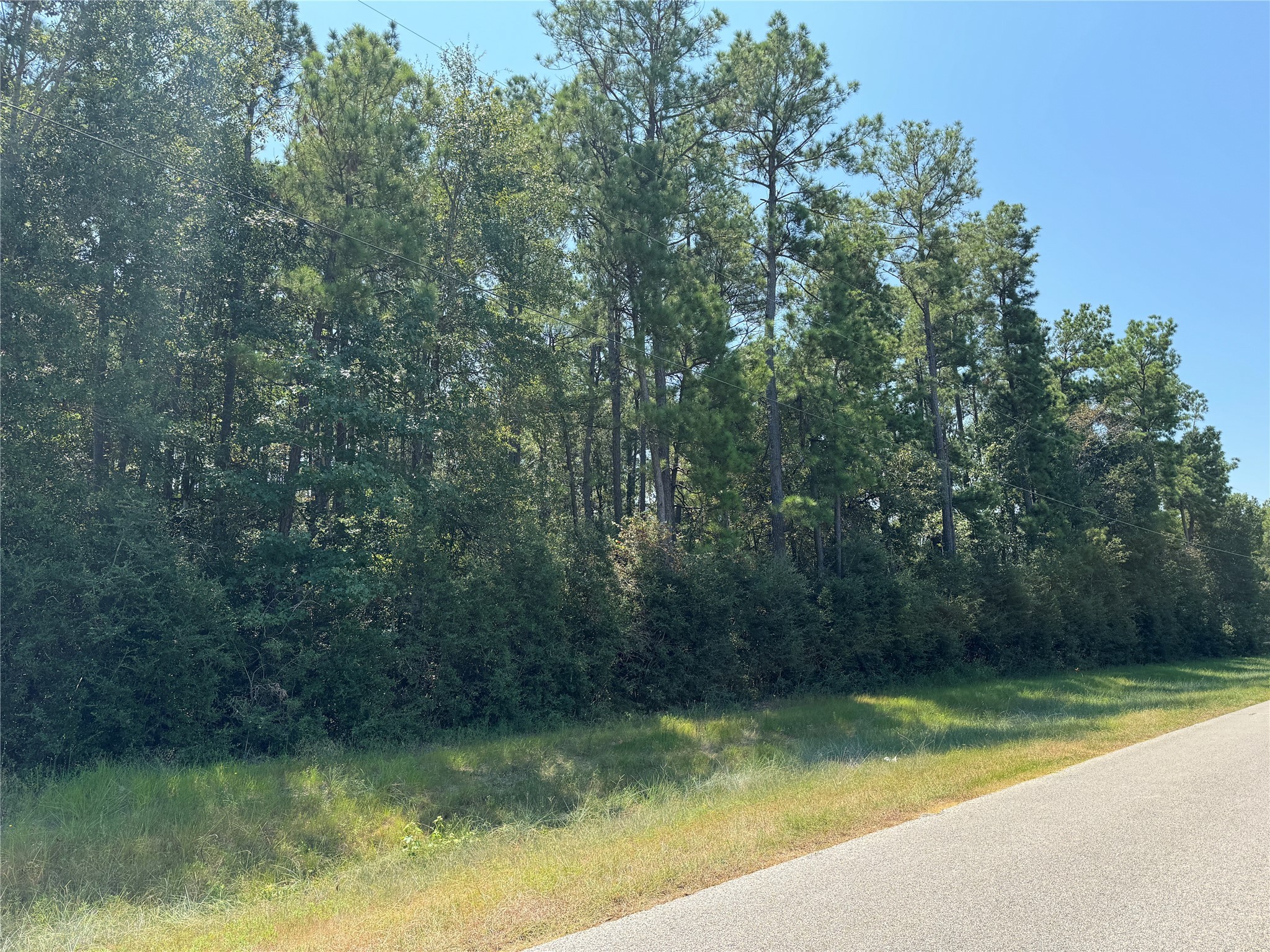 0 Roda Conroe, TX 77303 - Photo 8 of 11