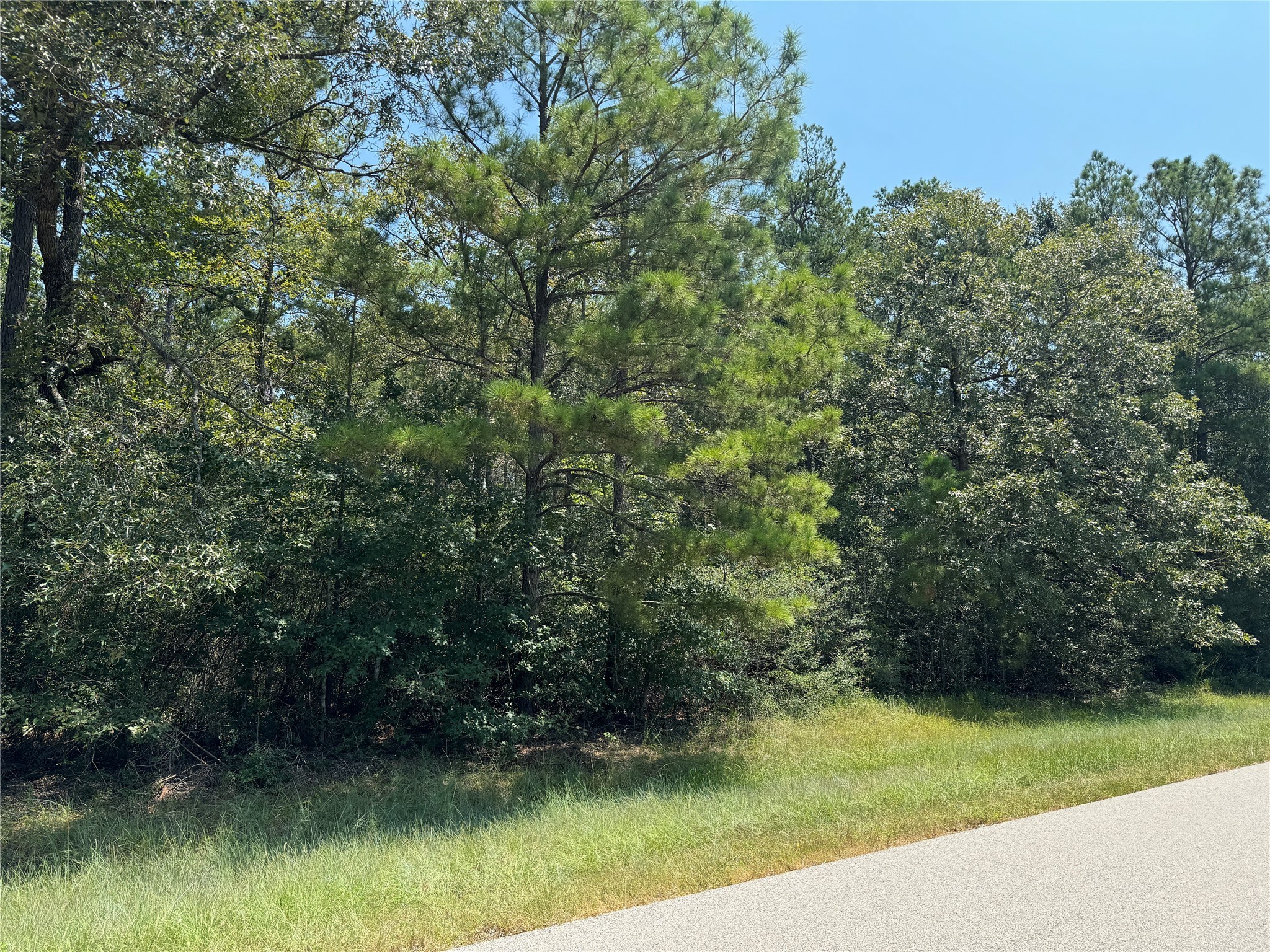 0 Roda Conroe, TX 77303 - Photo 9 of 11