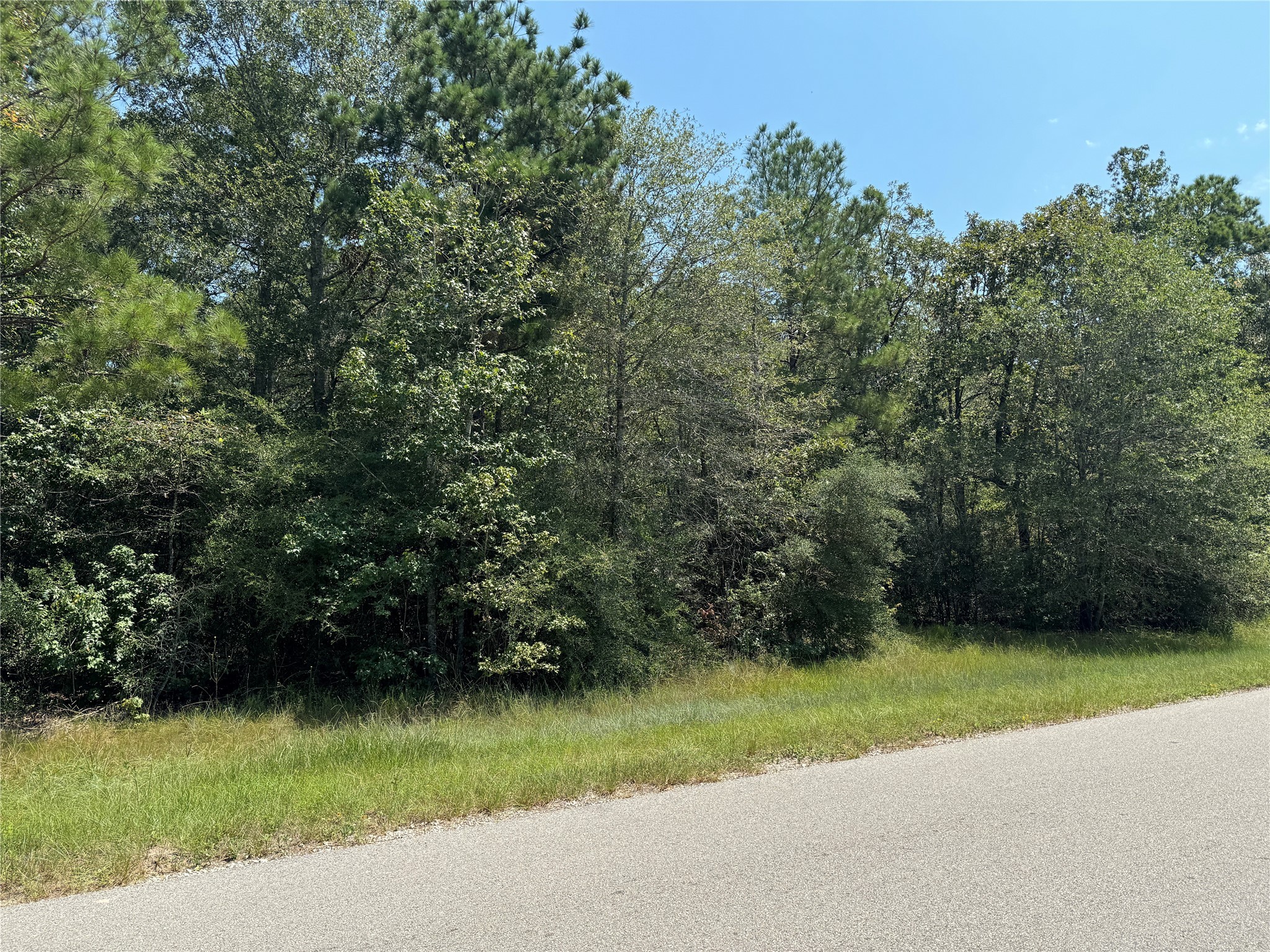 0 Roda Conroe, TX 77303 - Photo 10 of 11