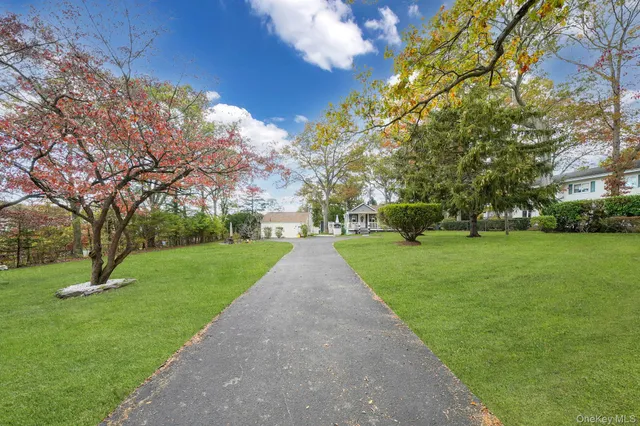 a view of a park with large trees