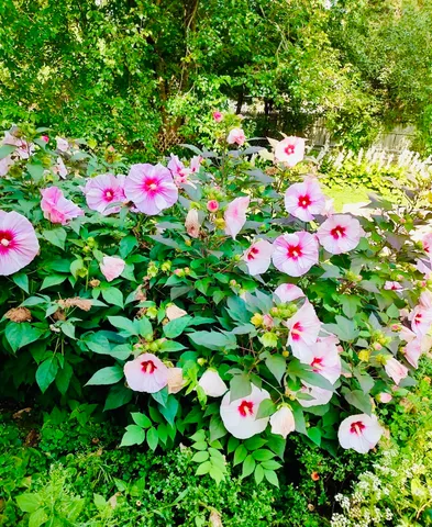 $420,000 | 913 Chapel Hill Road, Madison, WI 53711