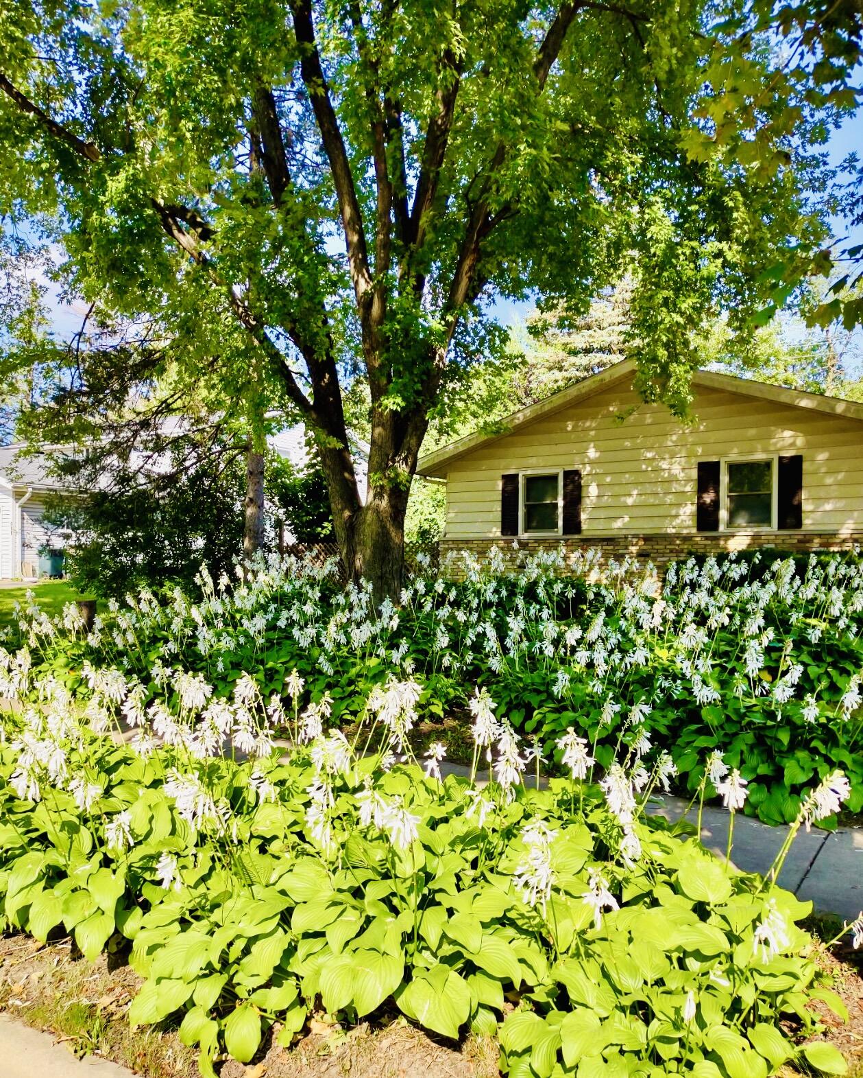 913 Chapel Hill Road Madison, WI 53711 - Photo 4 of 41 IMG_7496