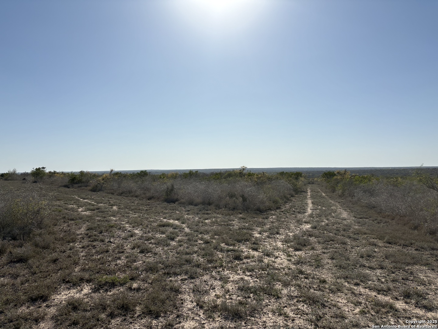 Tr102 Tr102 Frontier A Road Freer, TX 78357 - Photo 11 of 14