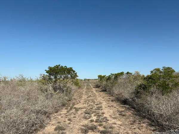 $129,000 | Tr102 Tr102 Frontier A Road, Freer, TX 78357