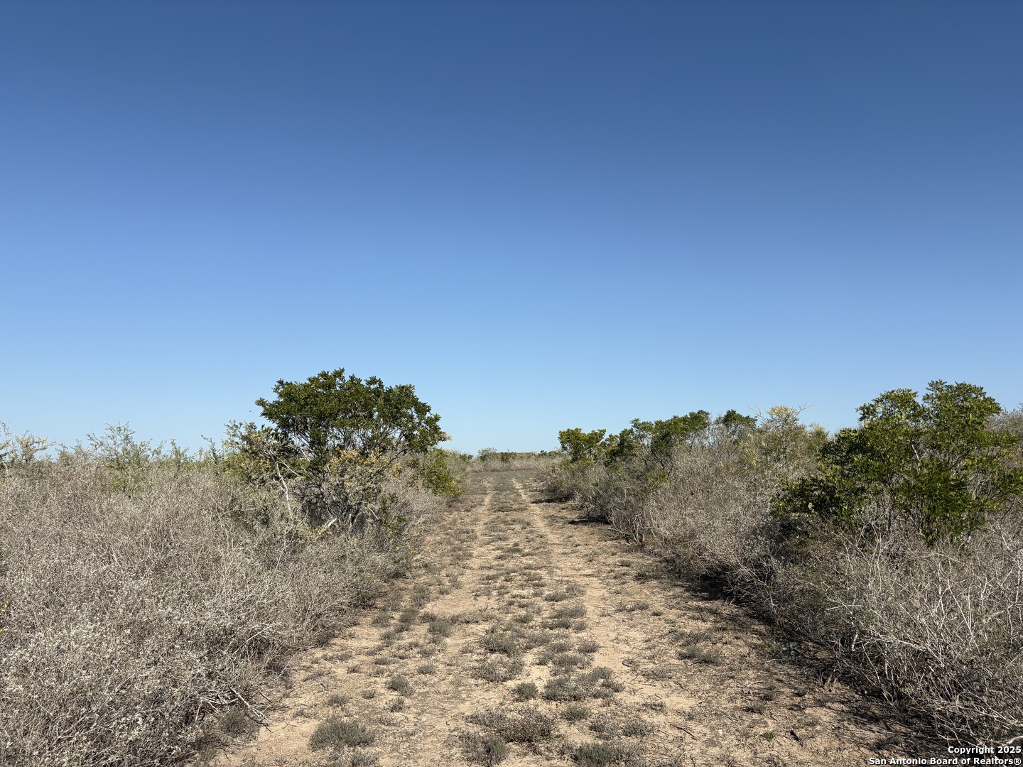 Tr102 Tr102 Frontier A Road Freer, TX 78357 - Photo 12 of 14