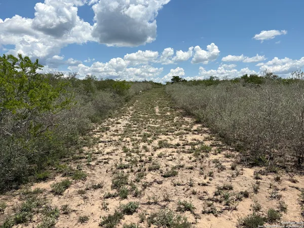 $129,000 | Tr102 Tr102 Frontier A Road, Freer, TX 78357