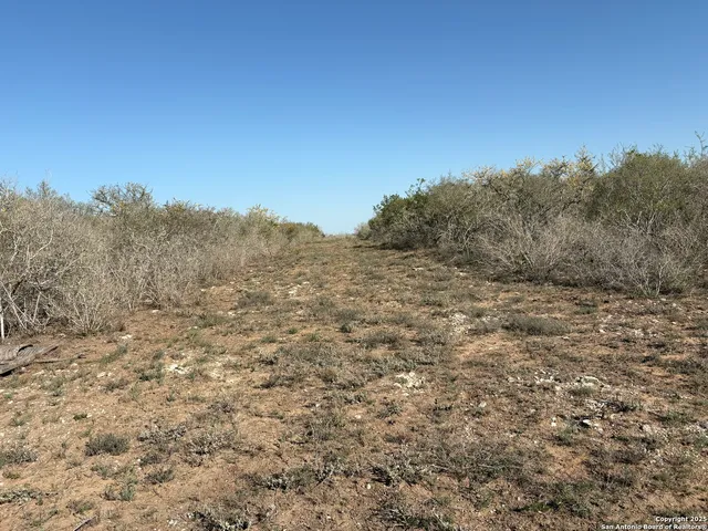 $129,000 | Tr102 Tr102 Frontier A Road, San Diego, TX 78384