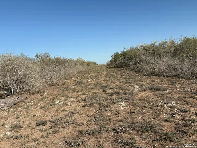 $129,000 | Tr102 Tr102 Frontier A Road, San Diego, TX 78384