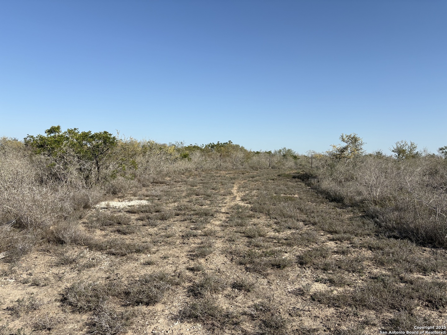 Tr102 Tr102 Frontier A Road Freer, TX 78357 - Photo 10 of 14