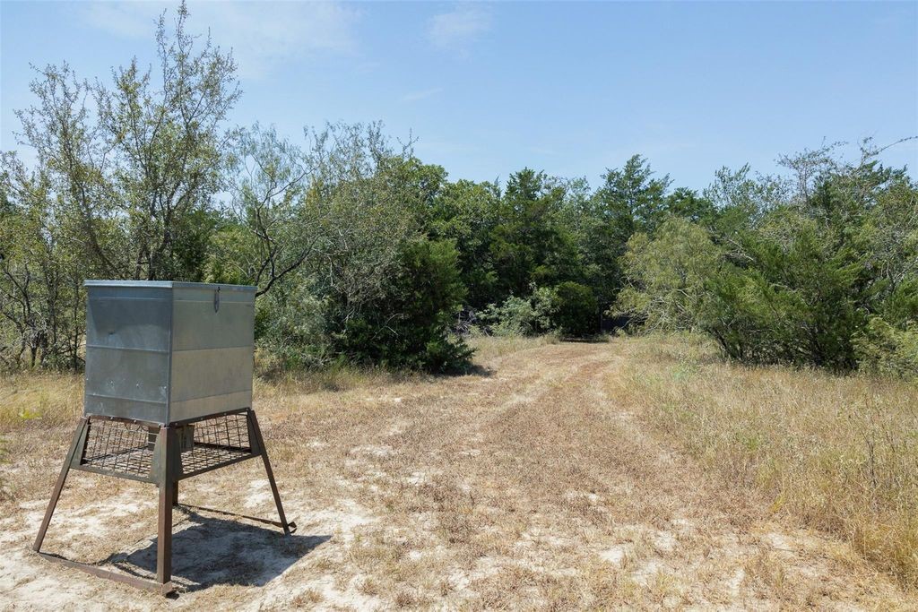10791 Roy Road Flatonia, TX 78941 - Photo 17 of 29 Gallery Image 17