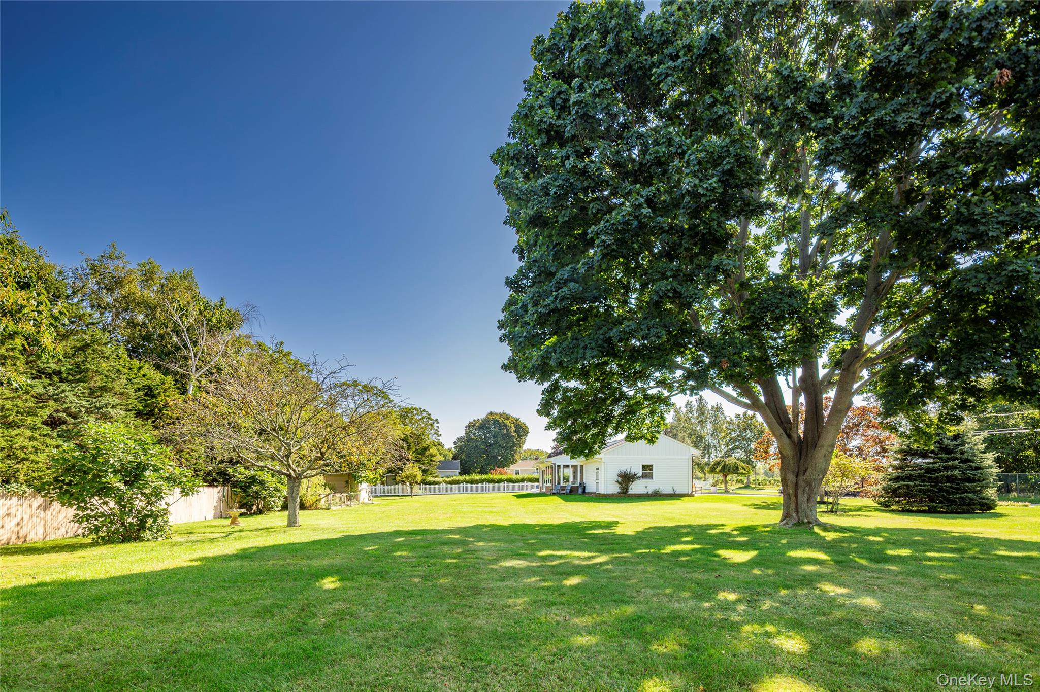 275 Maier Place Southold, NY 11971 - Photo 5 of 27 a backyard of a house with large trees