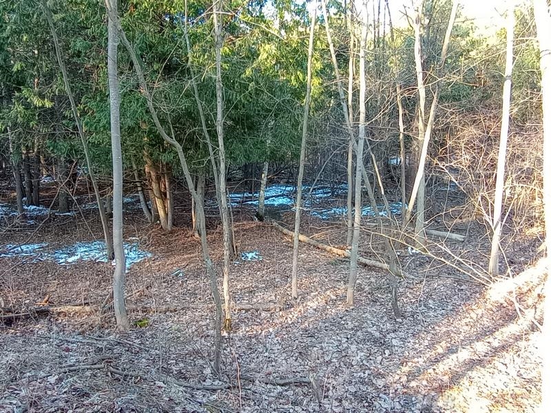 Lot 5 Castleview Gladwin, MI 48624 - Photo 9 of 9