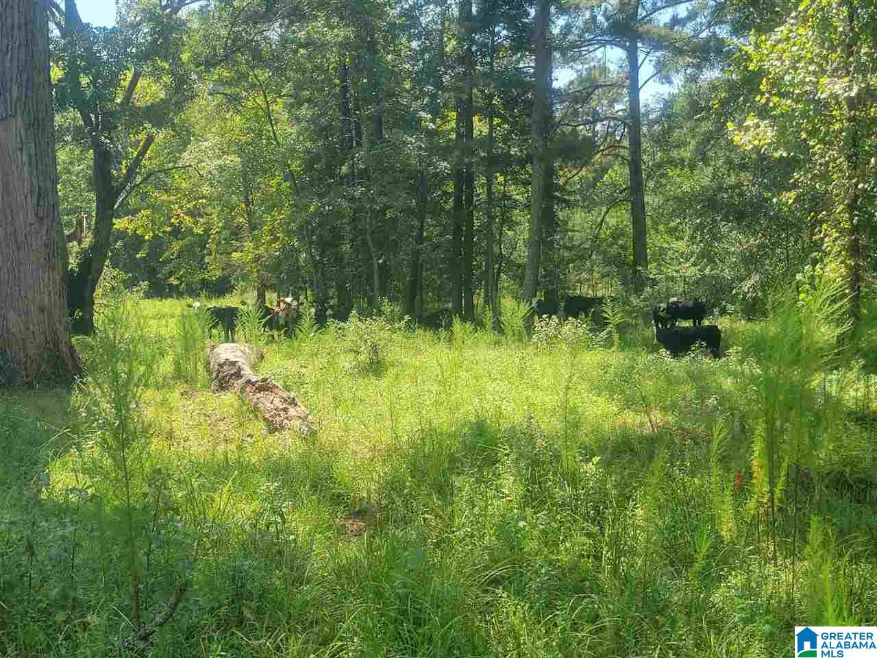 1 Hilton Road, Unit 57 ACRES Columbiana, AL 35051 - Photo 2 of 16