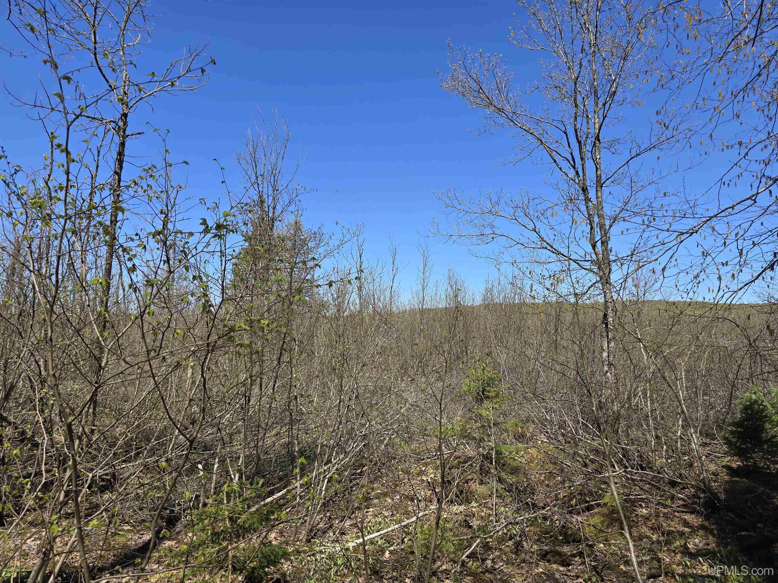 Tbd Murphy Road Covington, MI 49919 - Photo 38 of 57