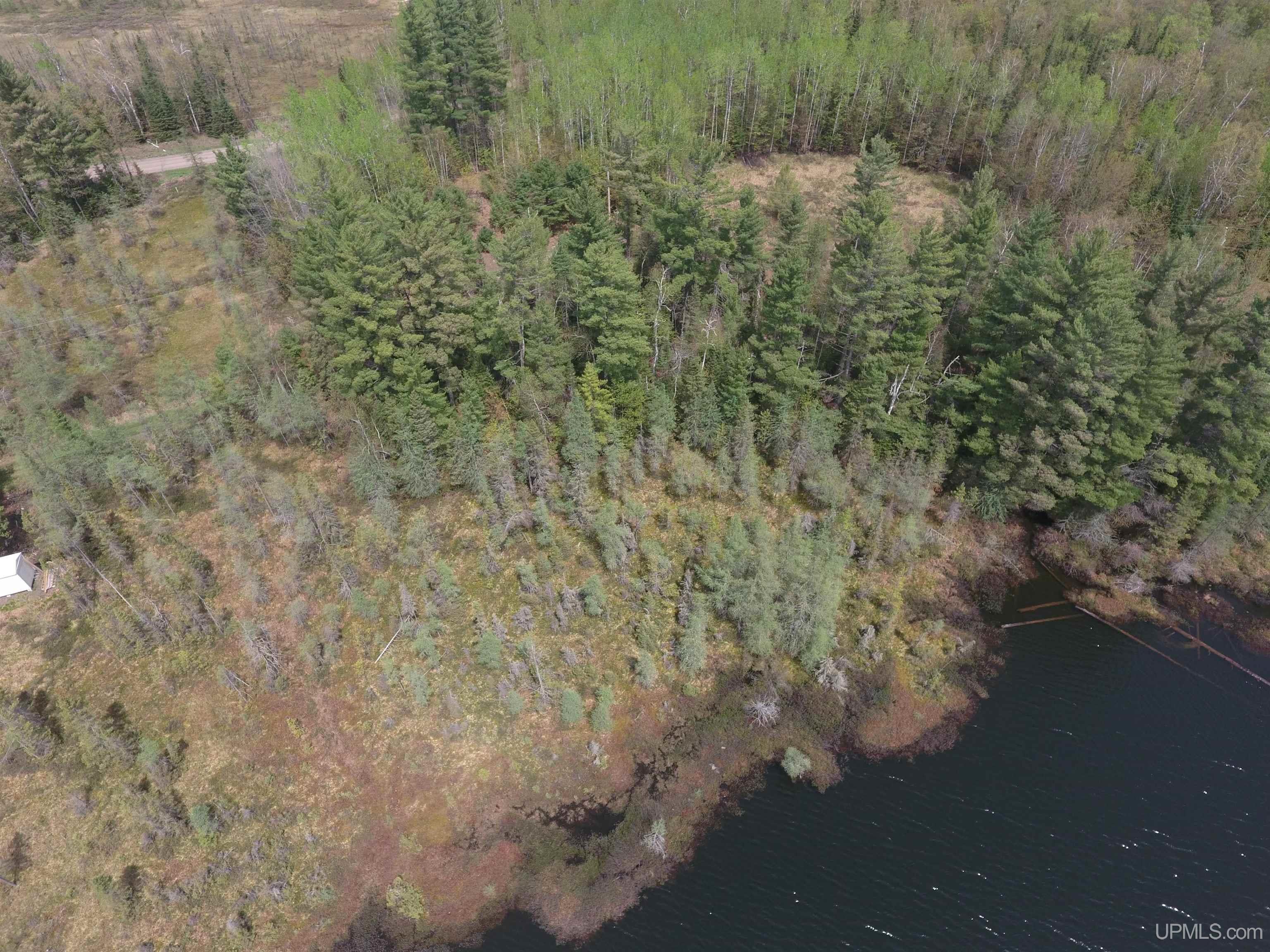 22004 South Olson Lake Road Michigamme, MI 49861 - Photo 8 of 14