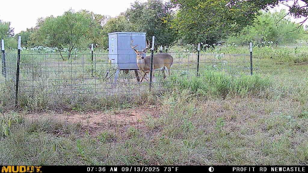 0 Proffitt Road Newcastle, TX 76372 - Photo 37 of 39