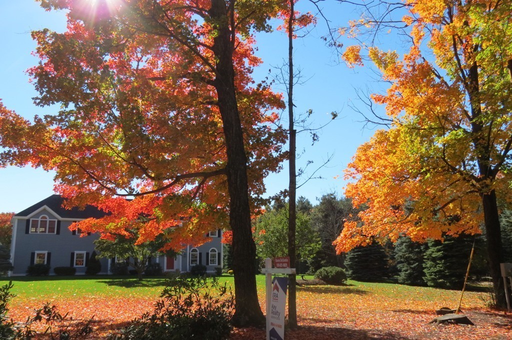 166 Whitman Road Groton, MA 01450 - Photo 4 of 30 Gallery Image 4