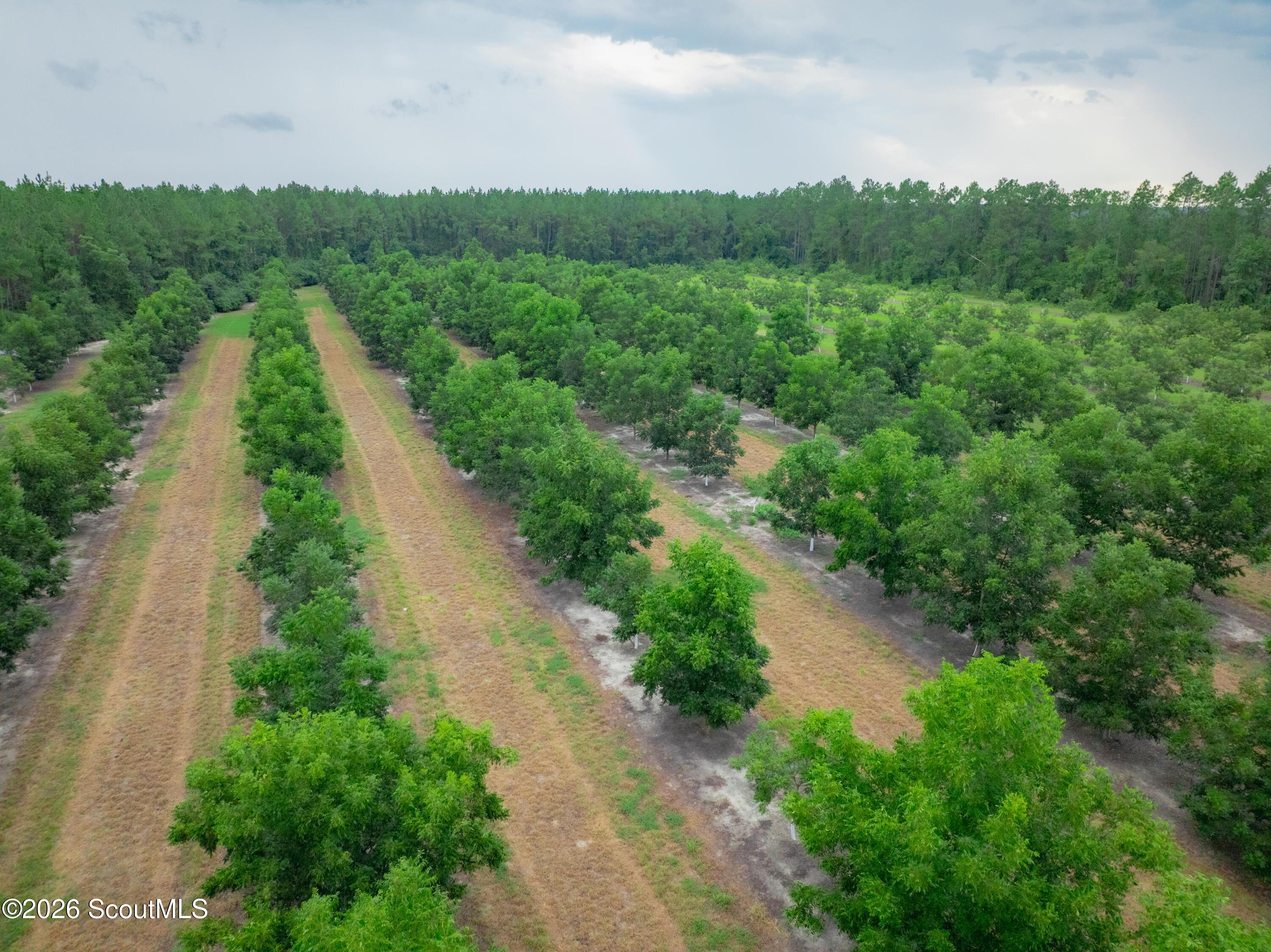 0 Deerfield Road Blackshear, GA 31516 - Photo 14 of 20 DJI_0351-HDR