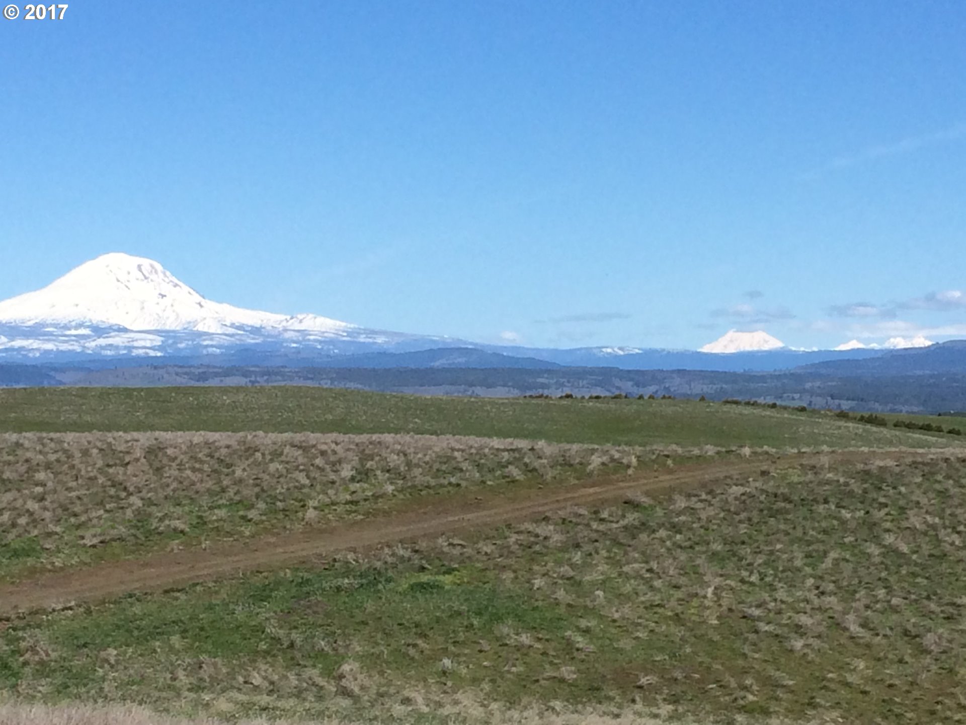 Shull Ranch Centerville, WA 98613 - Photo 6 of 15 Gallery Image 6