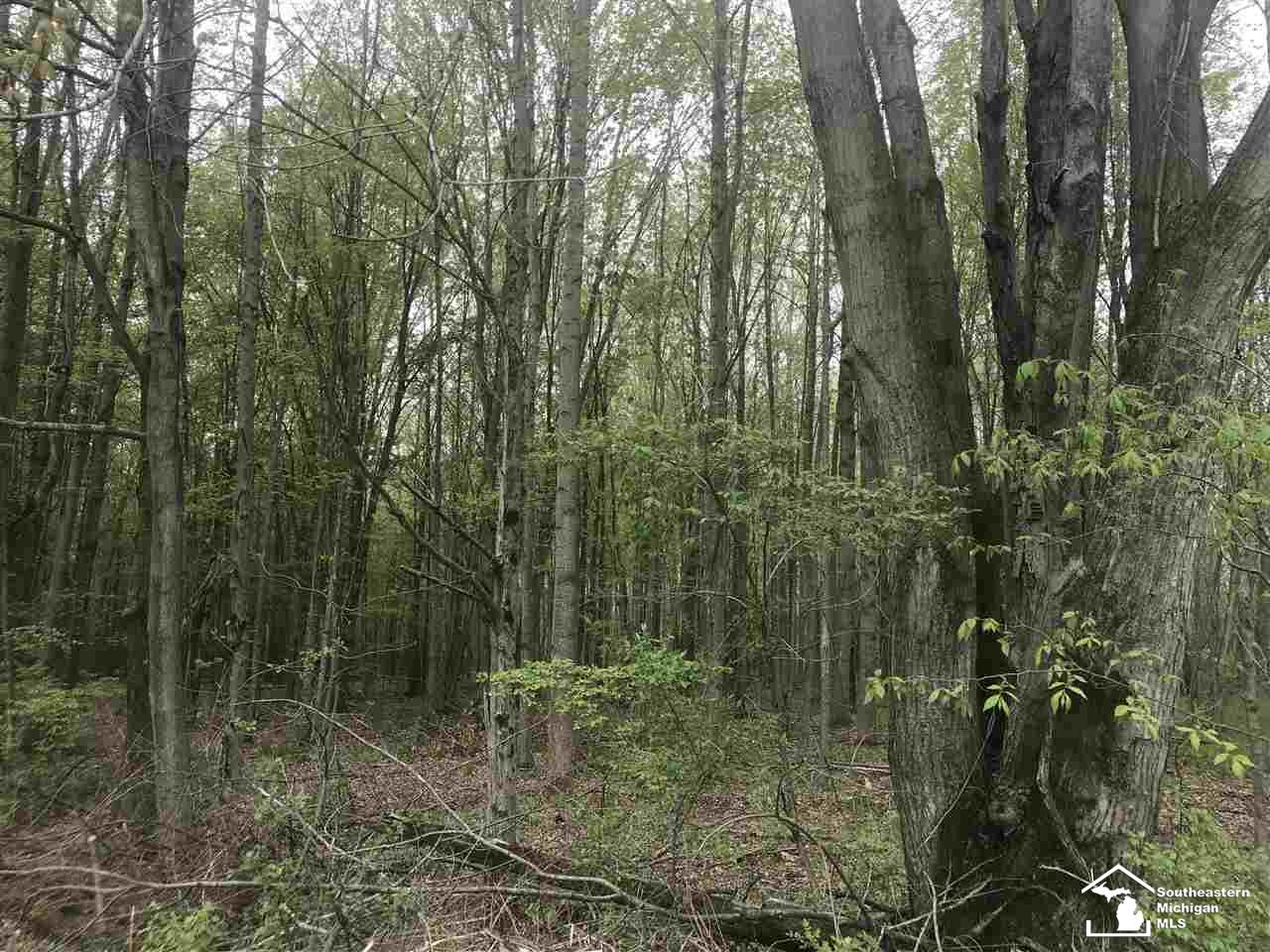 0 Bunton Road Milan, MI 48160 - Photo 15 of 22